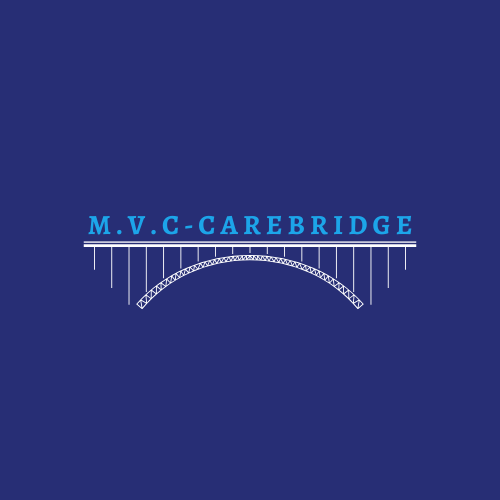 blue and white modern bridge logo